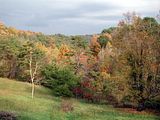 fall.jpg image by liquidtree